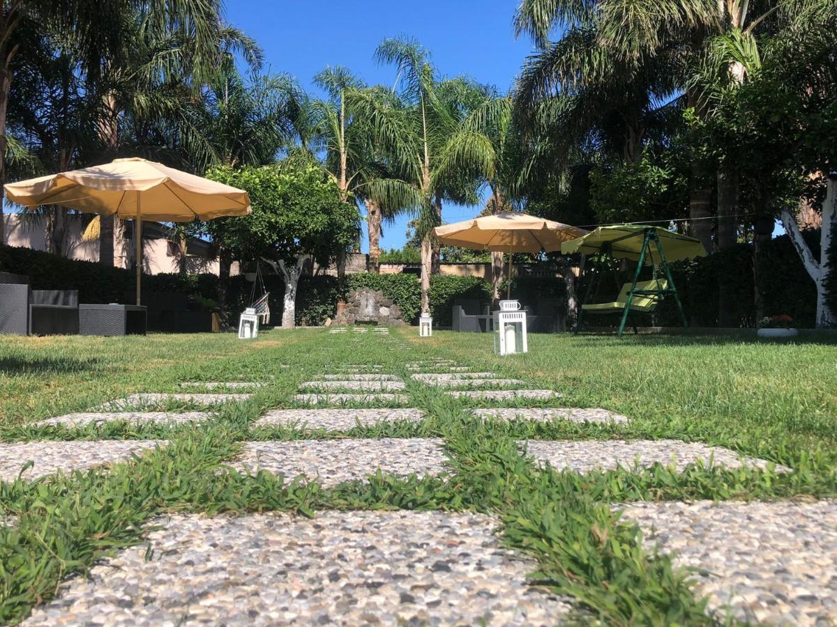 Oasis *
