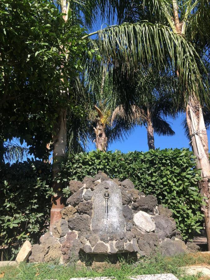 Oasis *
